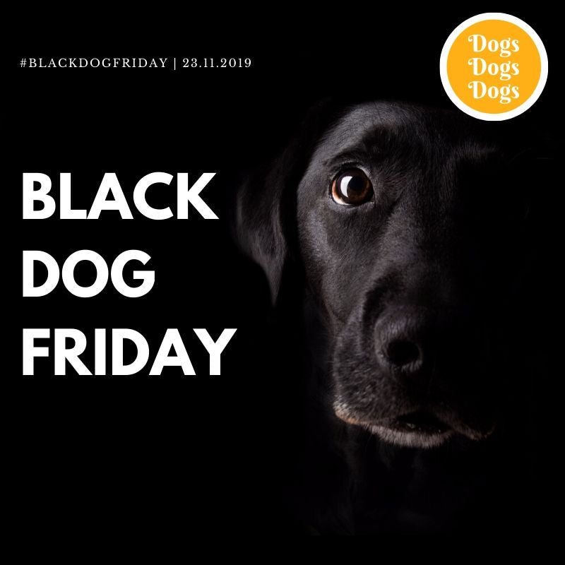 Black Friday Pet Shop 10% OFF