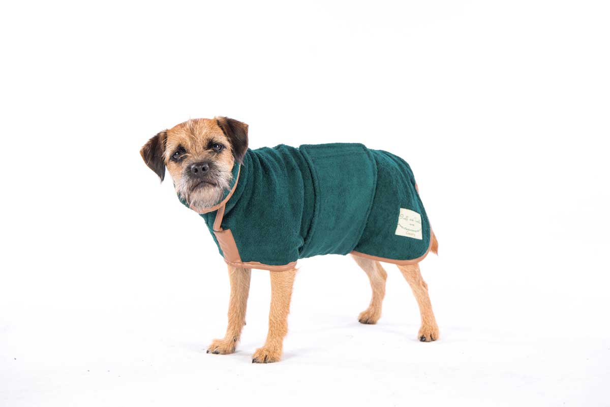 Holly Tries Out a Ruff & Tumble Dog Drying Coat