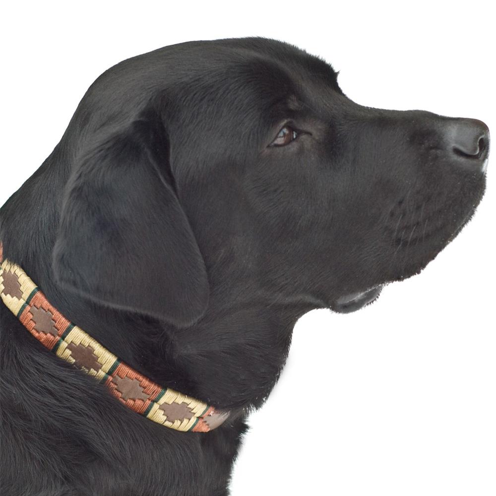 Pioneros Polo Dog Collar - Copper, Beige & Green Stripe at £27.99