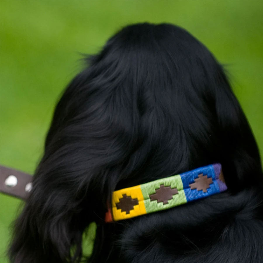 Pioneros Polo Dog Collar - Rainbow at £27.99