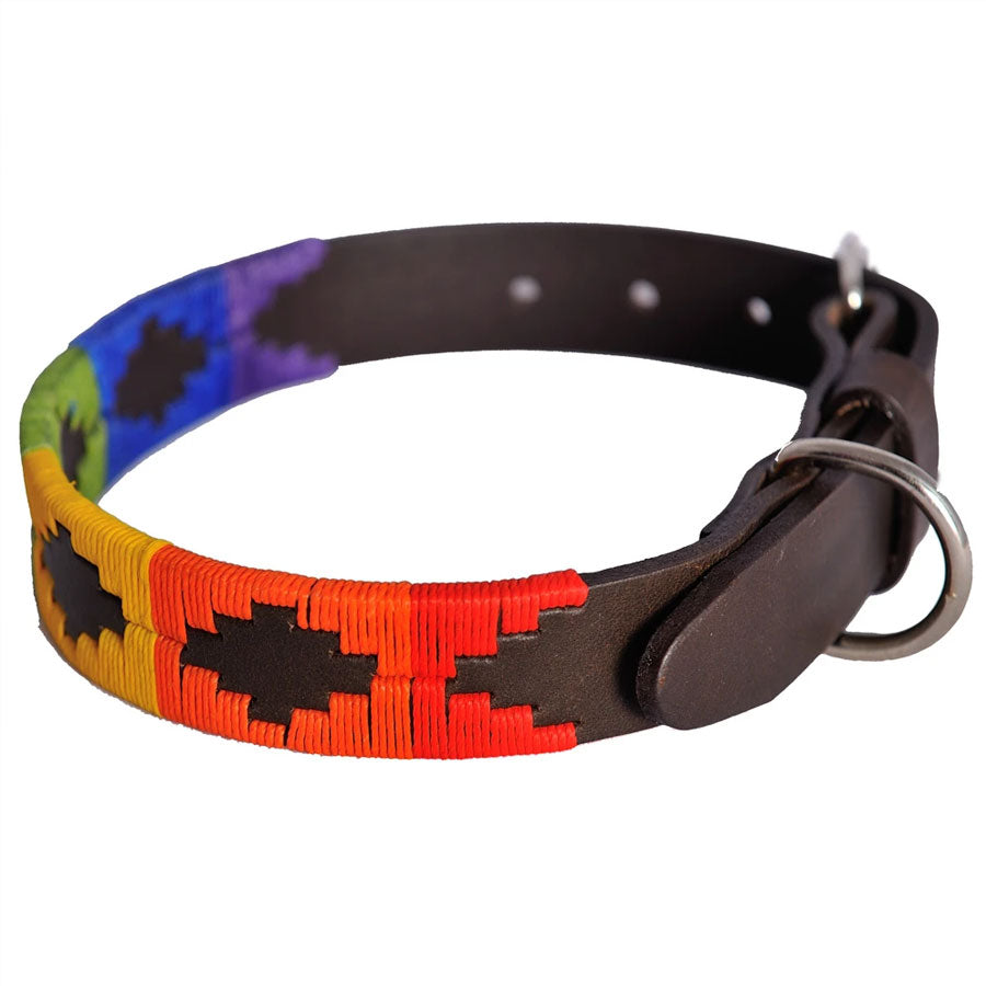 Pioneros Polo Dog Collar - Rainbow at £27.99