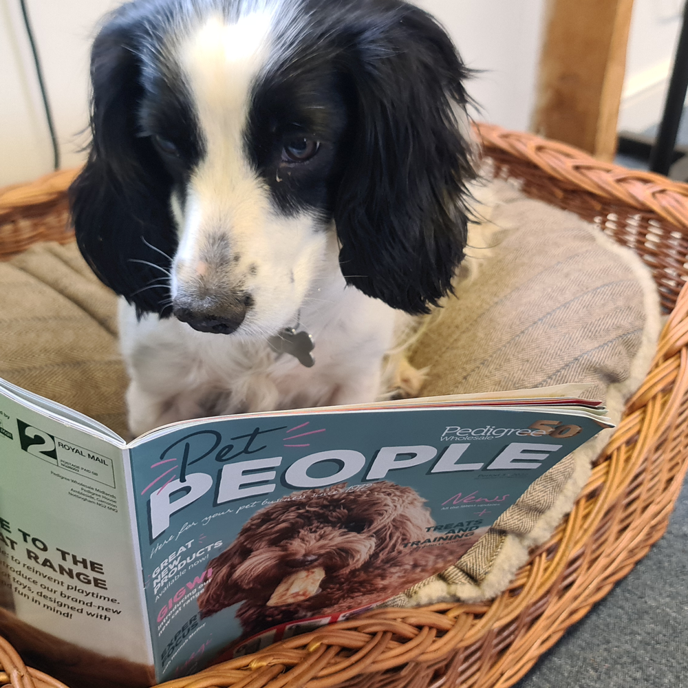 Earthbound Dog Bed Size Guide with Holly Spaniel