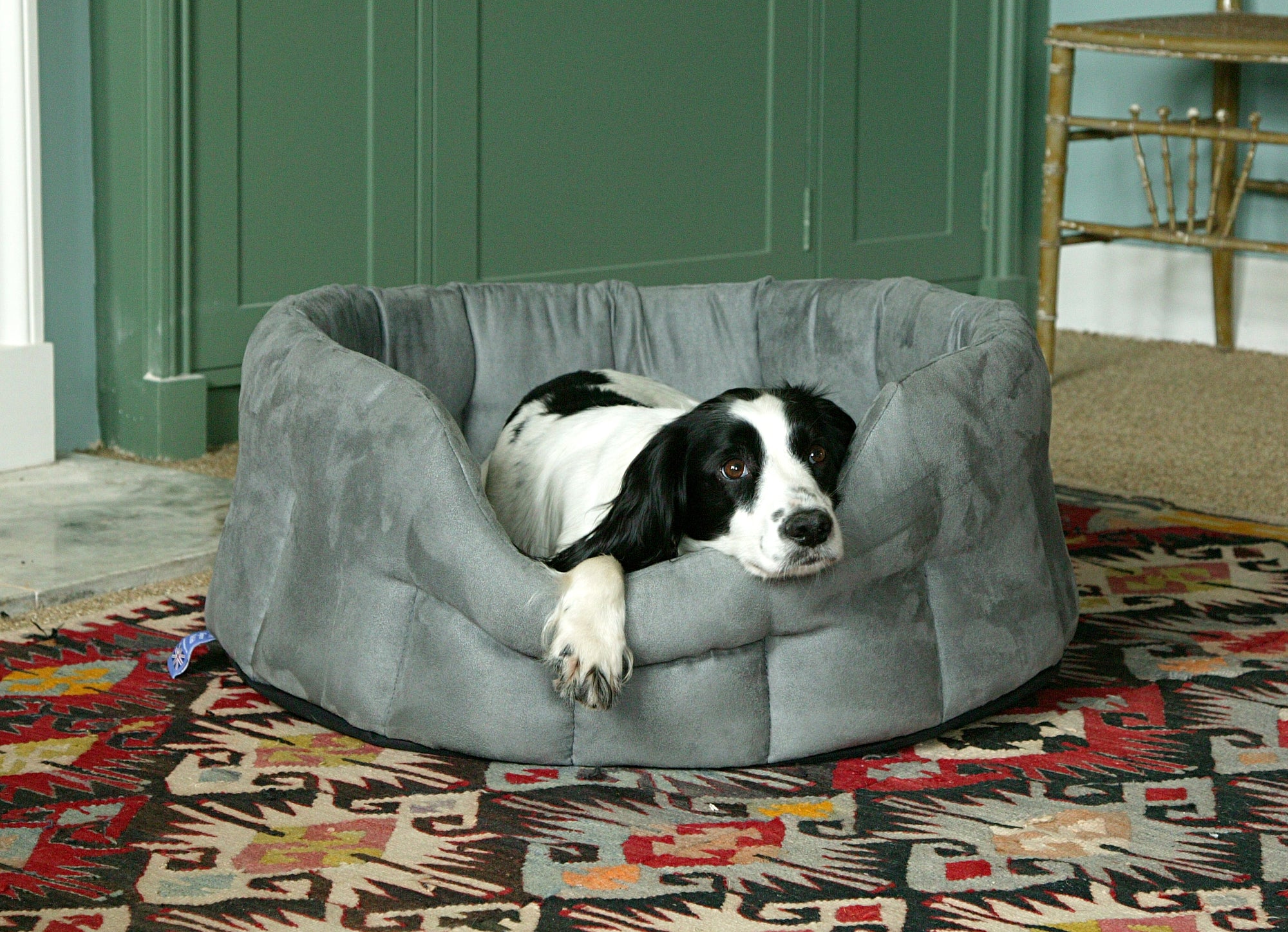 Choosing your dog's bed - Waterproof, Fur, Faux Suede or even Fleece
