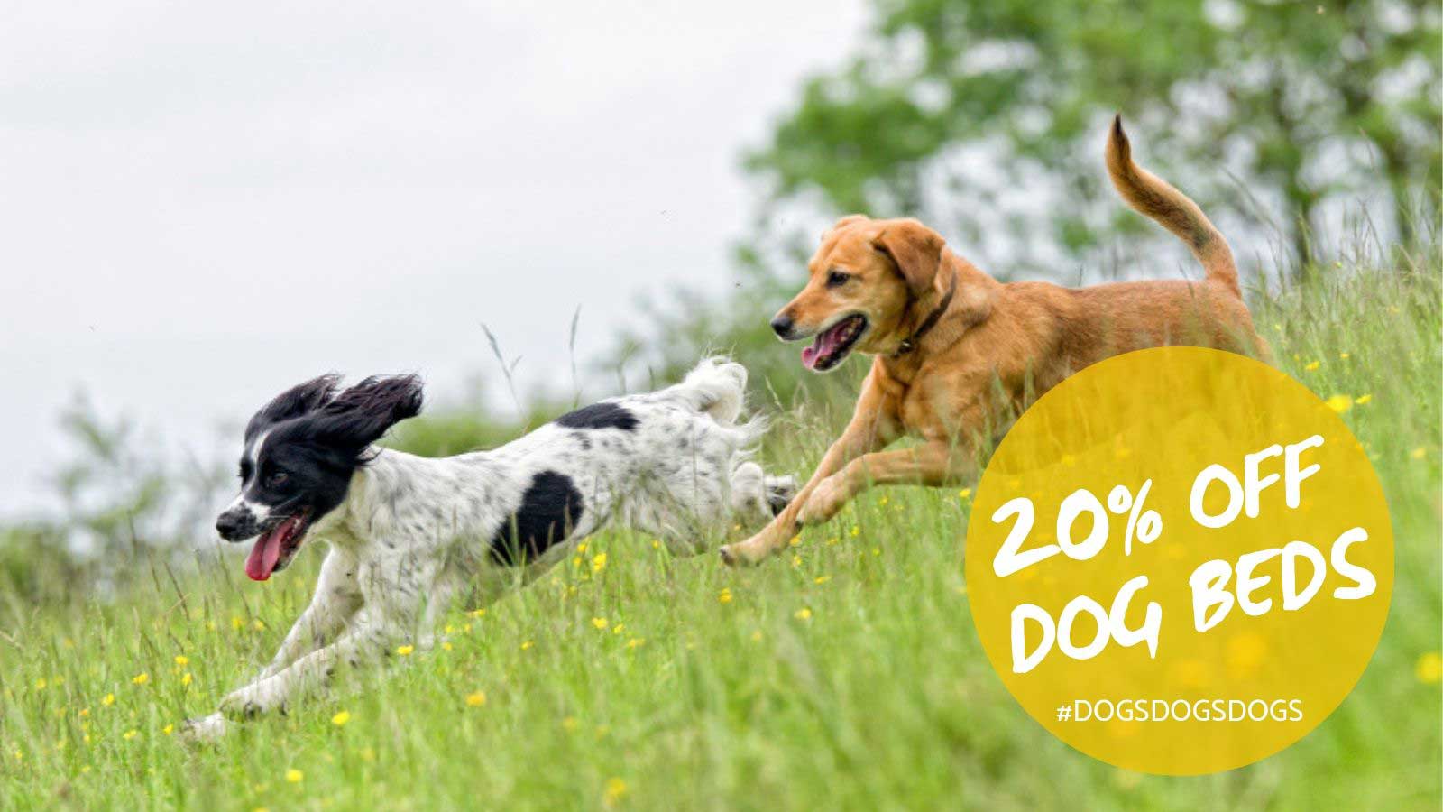 20% OFF Our Premium Dog Bed Range