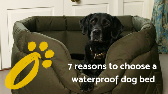 7 Reasons you should choose a heavy duty waterproof dog bed from Country Dog