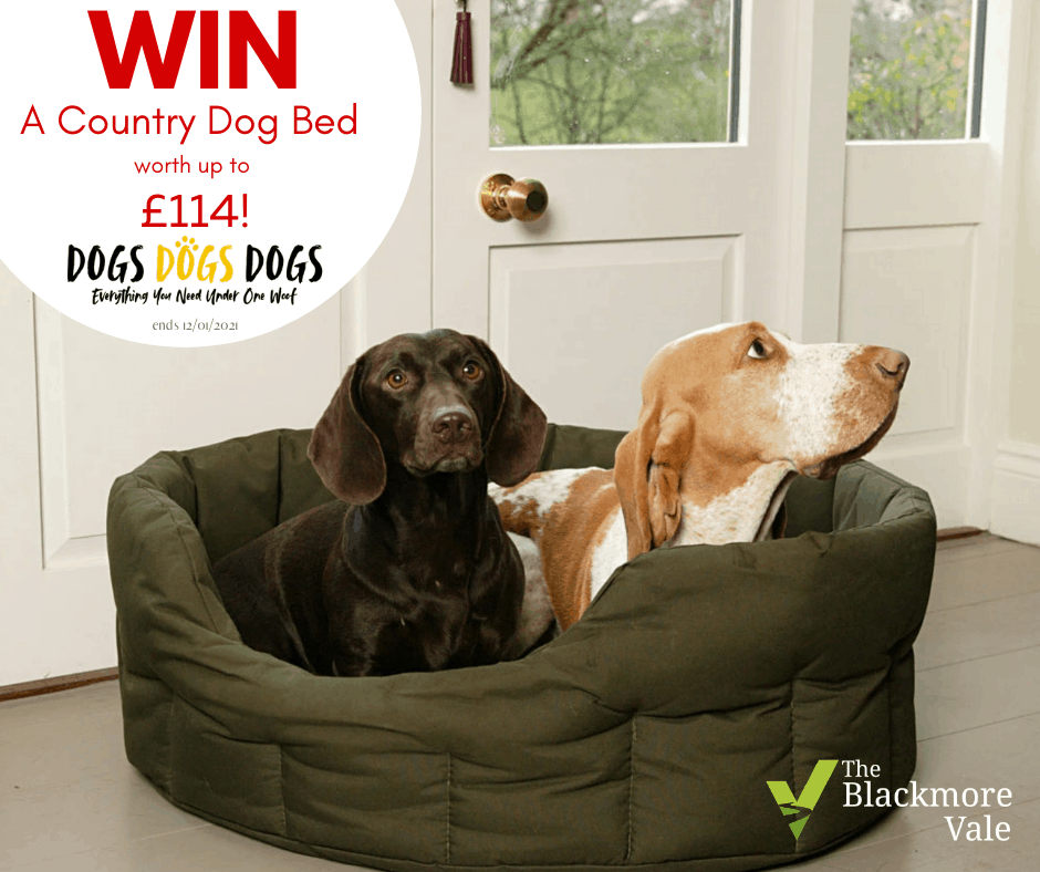 Win a Country Dog Waterproof Bed Worth £100+