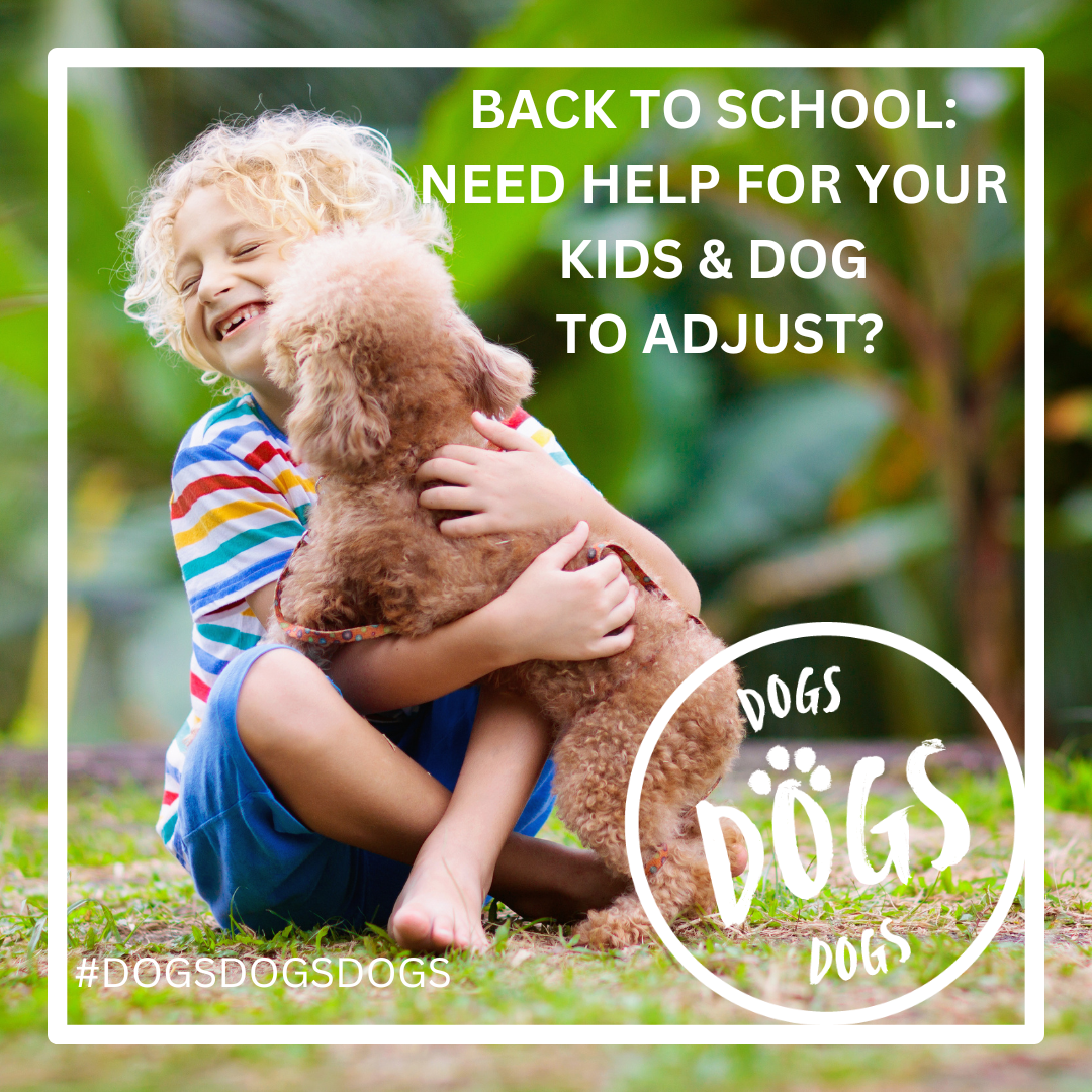 Helping your kids and dog adjust to going back to school: A guide for UK families