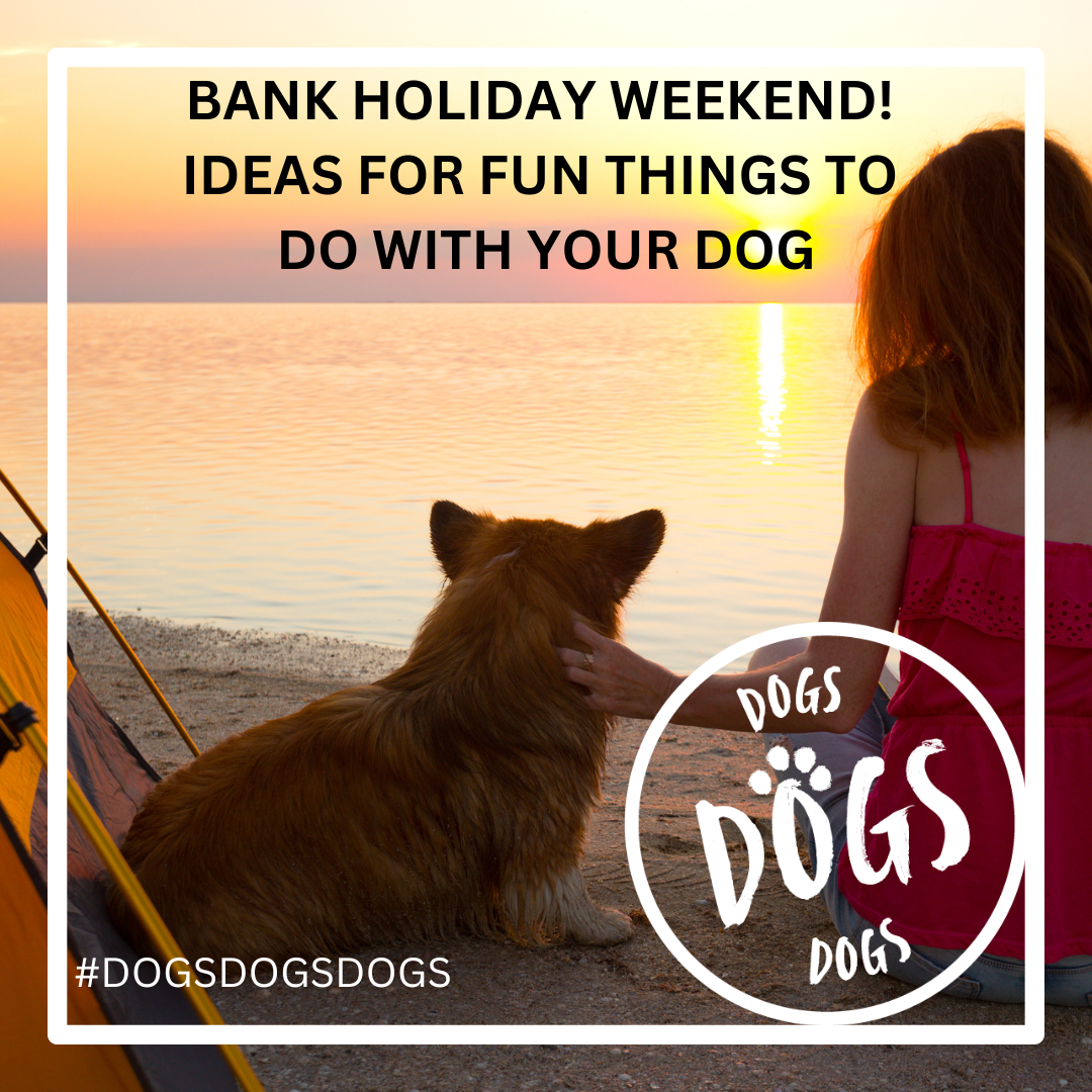 Bank holiday weekend with your dog