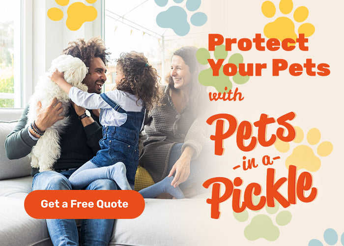 Pets in a Pickle Competition