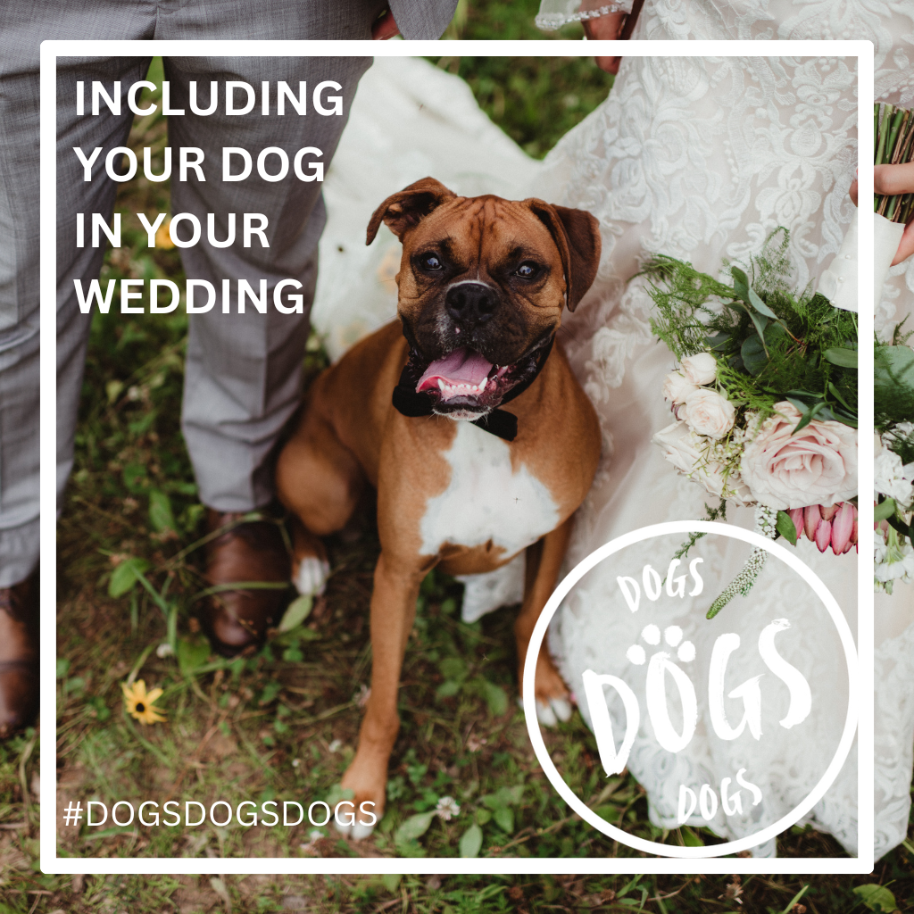 Including your dog in your wedding day