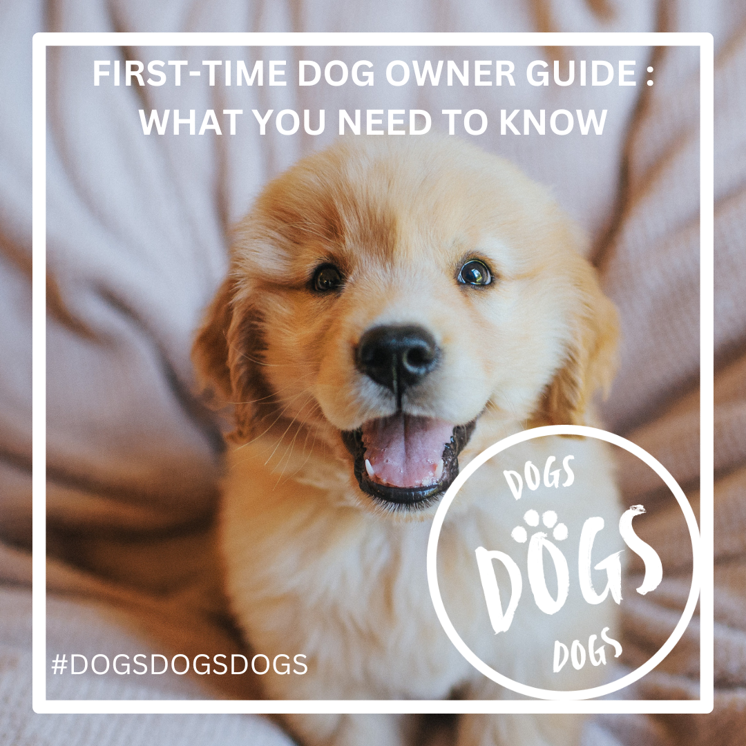 First-Time Dog Owner Guide: Everything You Need to Know