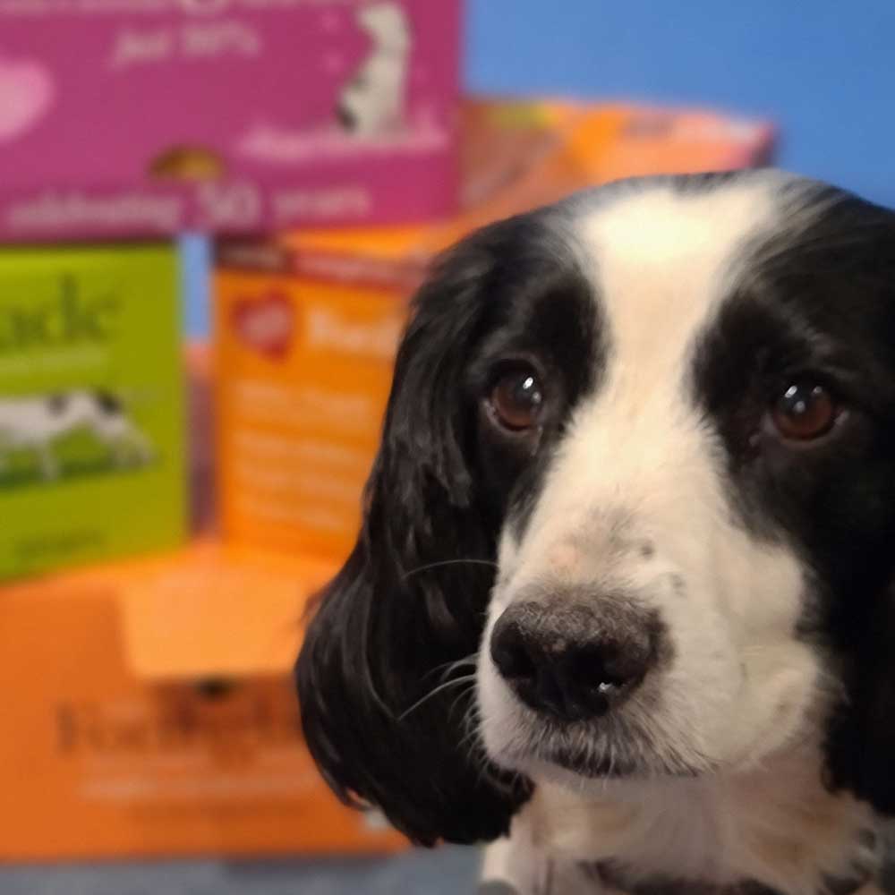 Forthglade Natural & Nutritious Dog Food Subscribe & Save with Dogs Dogs Dogs