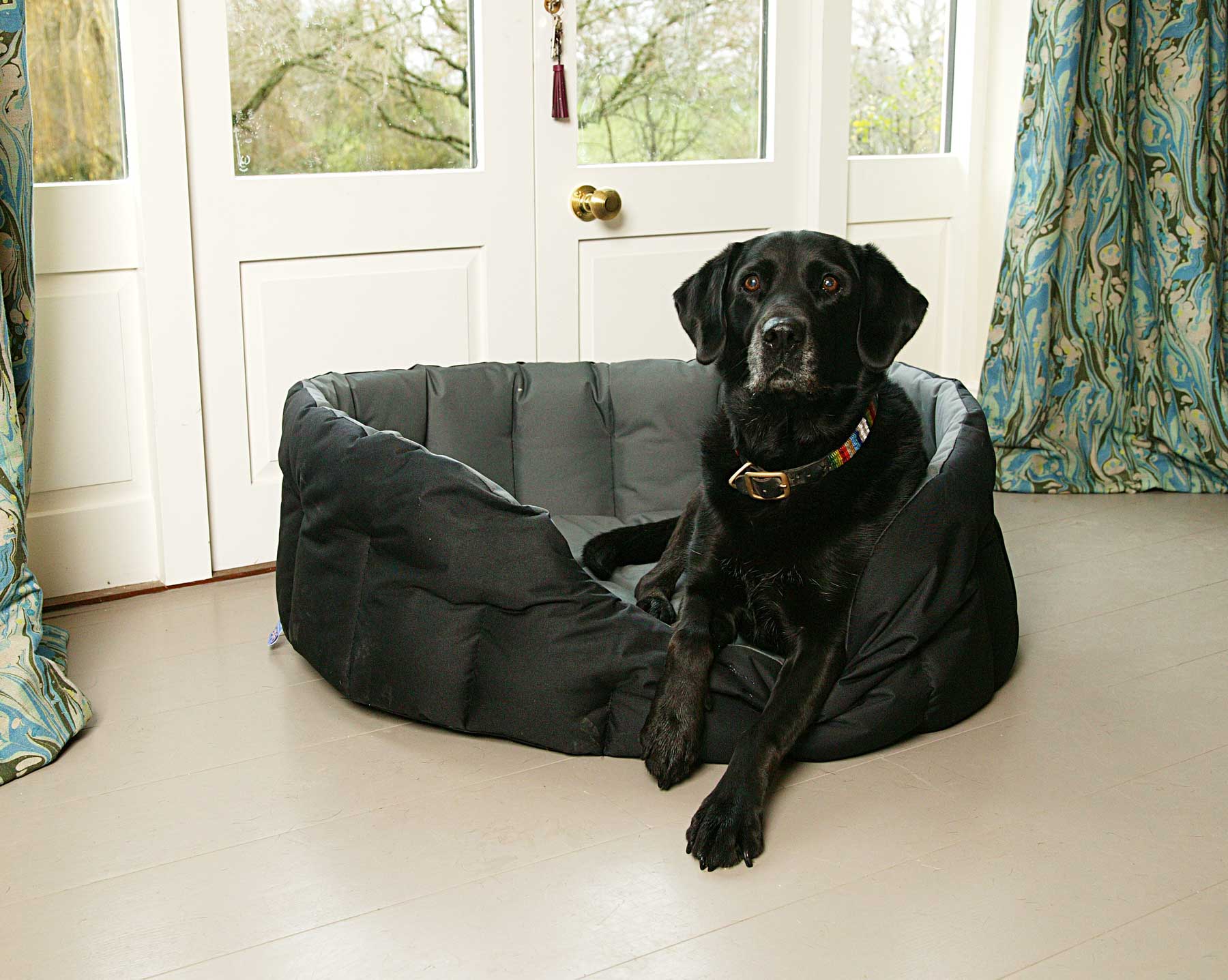 The Importance of Keeping Your Dog’s Bed Clean