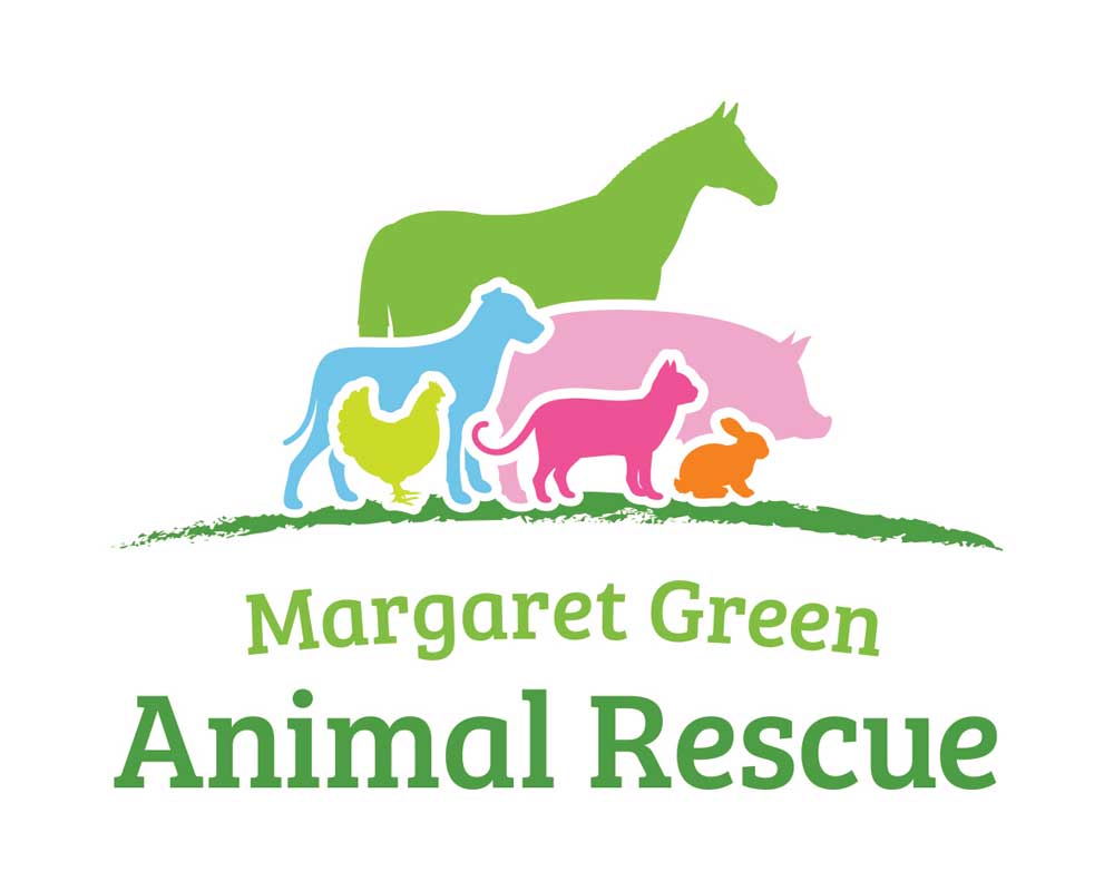 Introducing our Charity Partner - Margaret Green Animal Rescue
