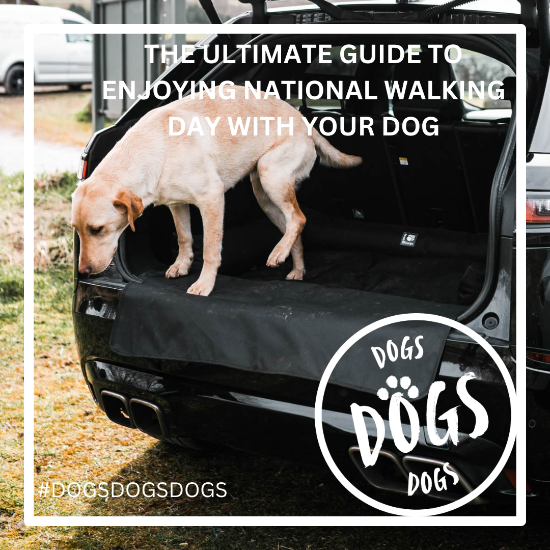 The Ultimate Guide to Enjoying National Walking Day with Your Dog