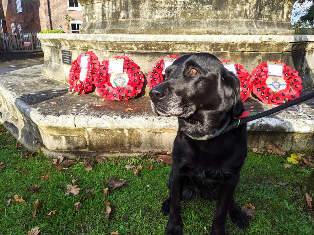 Remembrance Sunday
