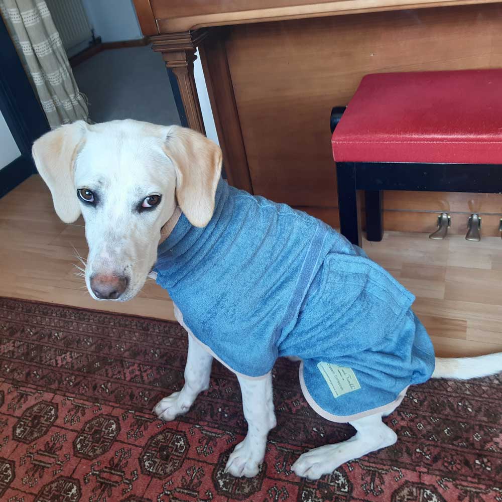 Ruff and Tumble Dog Drying Coat