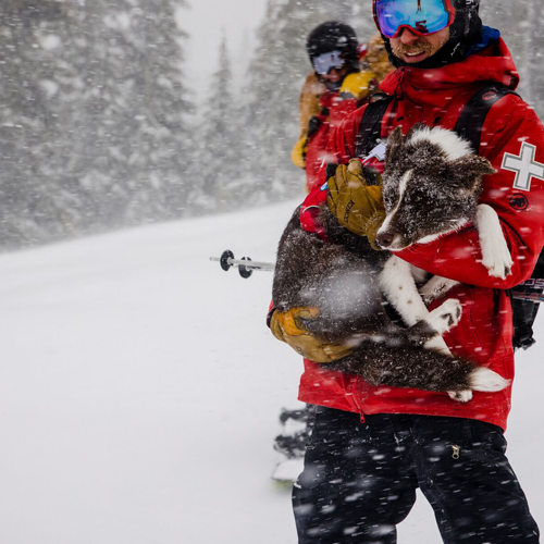 Are Ruffwear Harnesses Good?