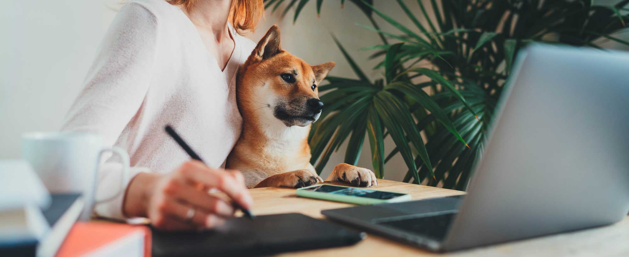 Bring Your Dog to Work Day