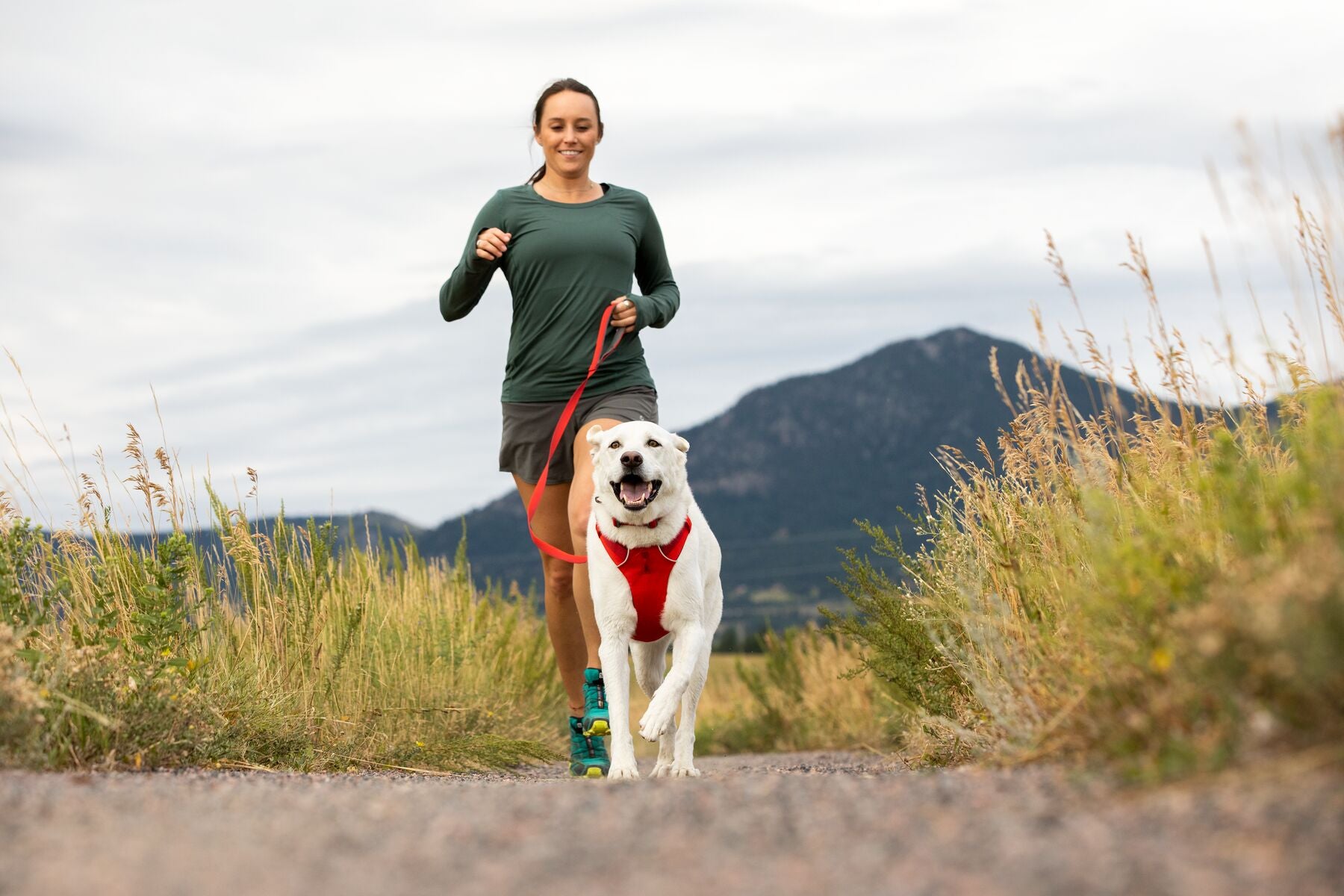 Waggy Tail Moment - Ruffwear is here!
