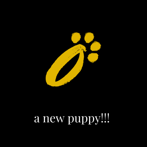 New Puppy on the way!!!