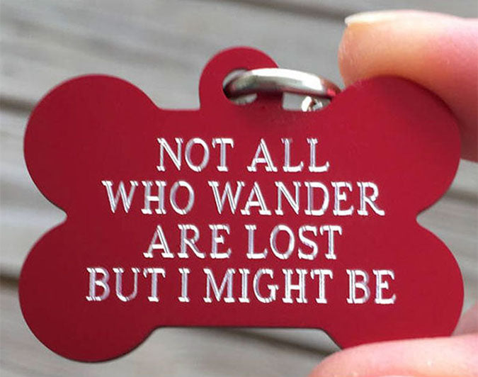 Lost store dog tags