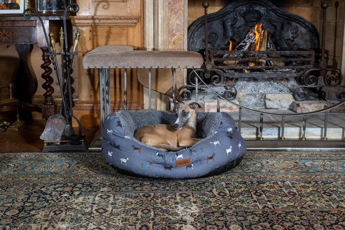 What is the best dog bed for a whippet