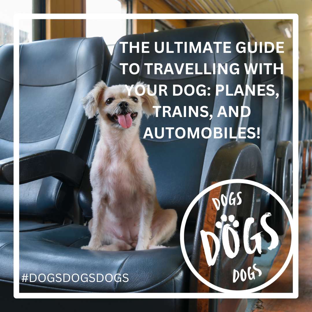 The Ultimate Guide to Travelling with Your Dog: Planes, Trains, and Automobiles!