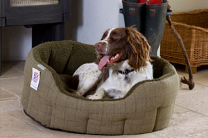 5 important things when buying a dog bed