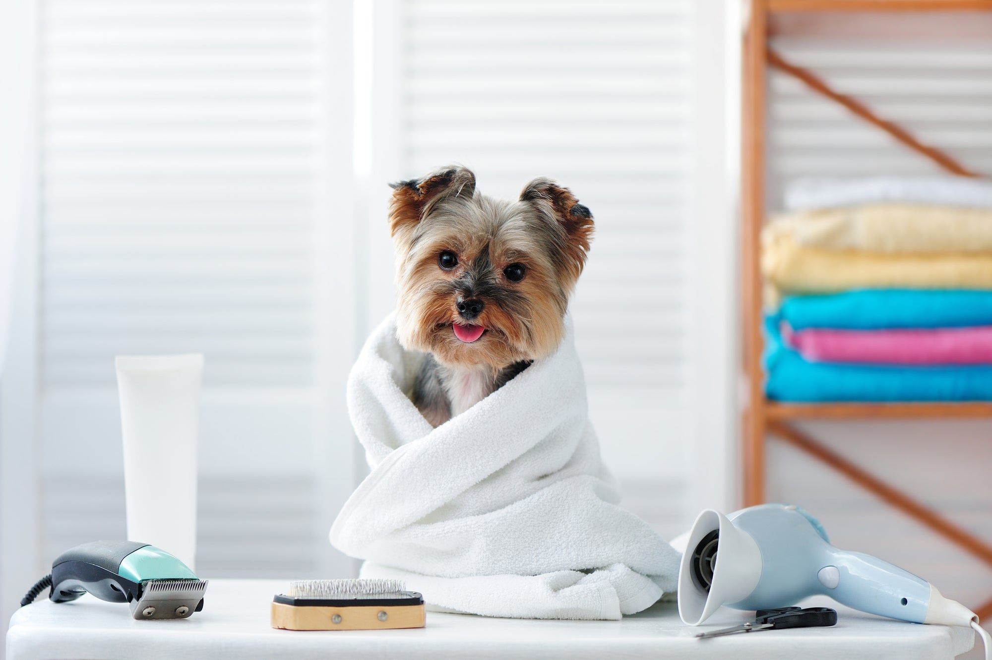 Dog Health & Hygiene