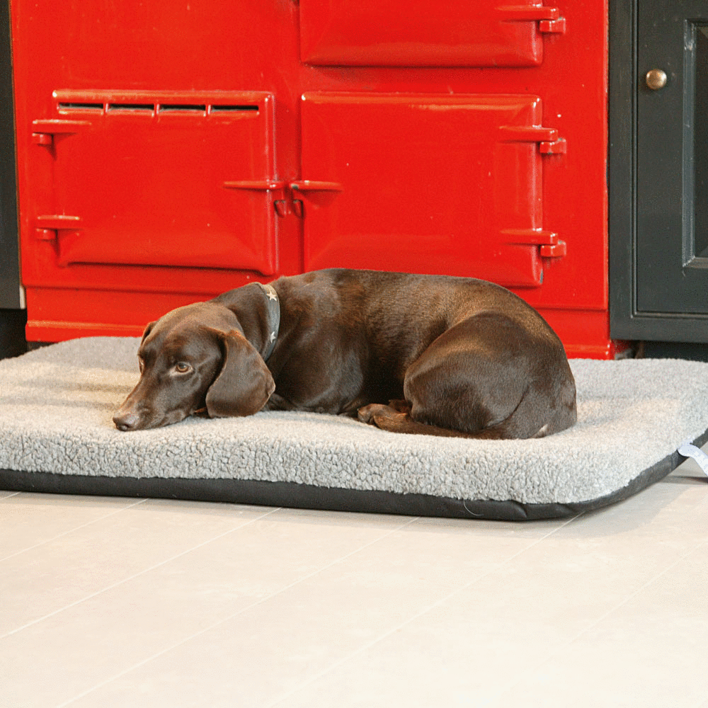 Dog Mattresses