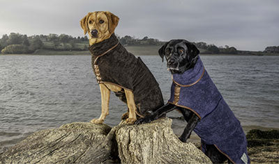 Dog Drying Coats