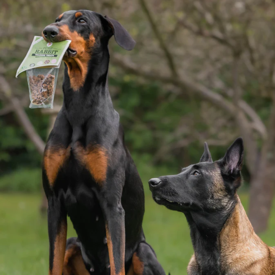 Dog Treats