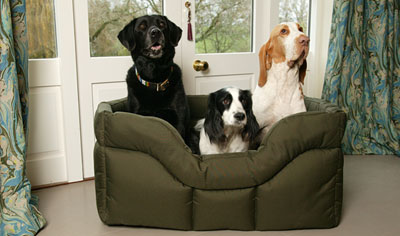 Dog Beds