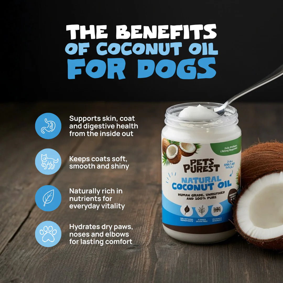 Coconut Oil for Dogs | 340g Organic Cold-Pressed Supplement