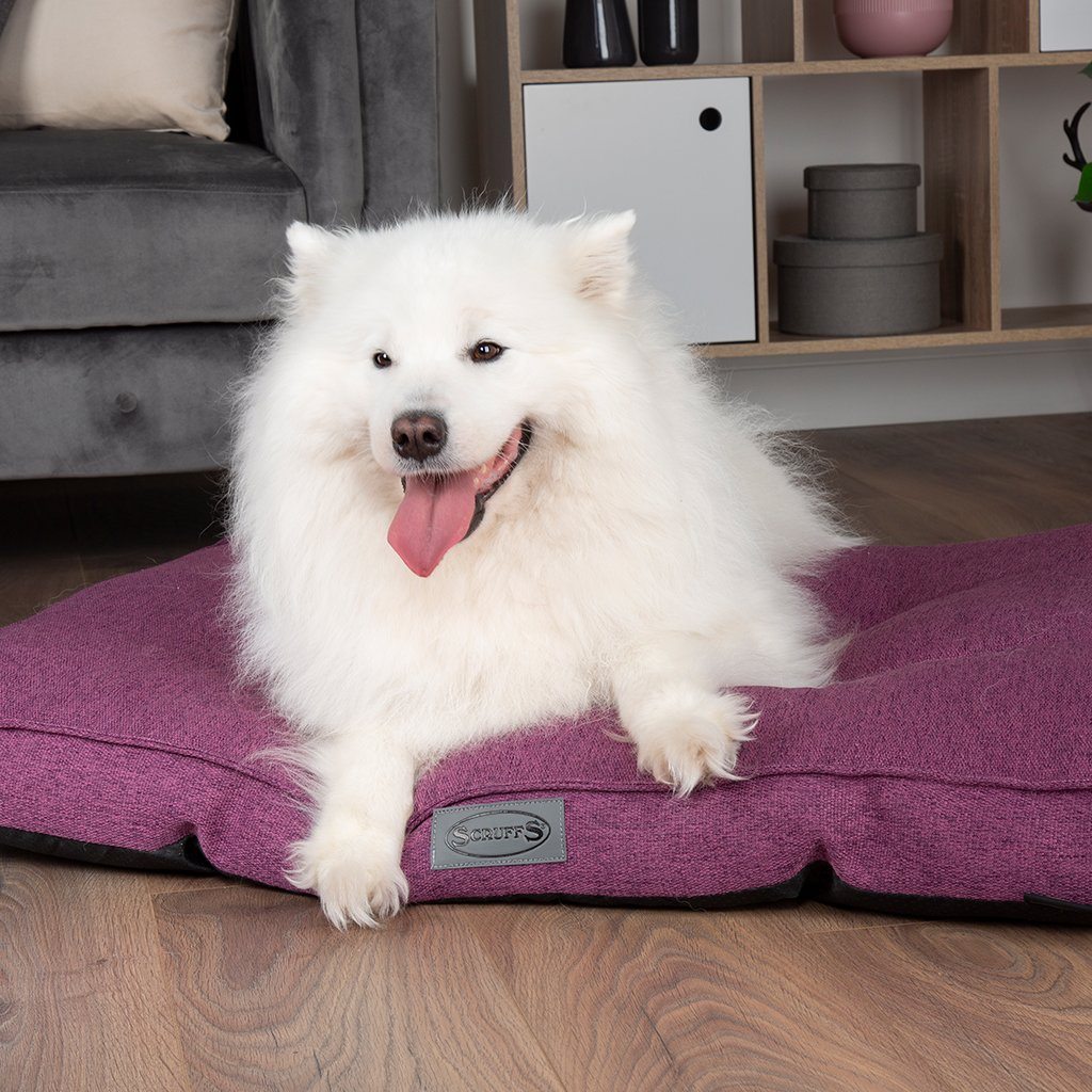 Manhattan Mattress - Berry Purple Dog Bed Scruffs® Medium (82 x 58cm / 32" x 23") 