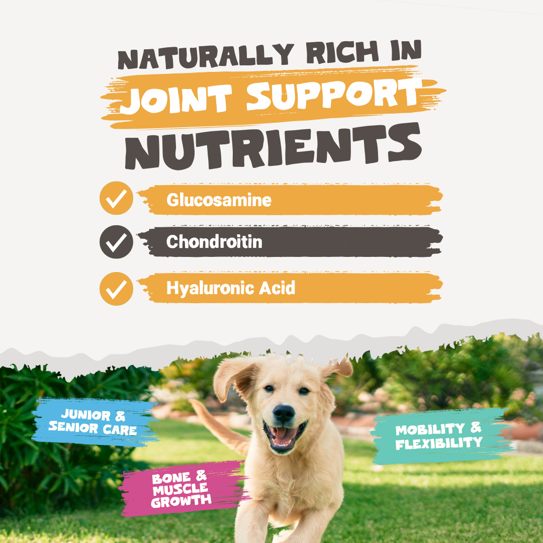 Natural Chicken Bone Broth Powder for Dogs &amp; Cats | 250g