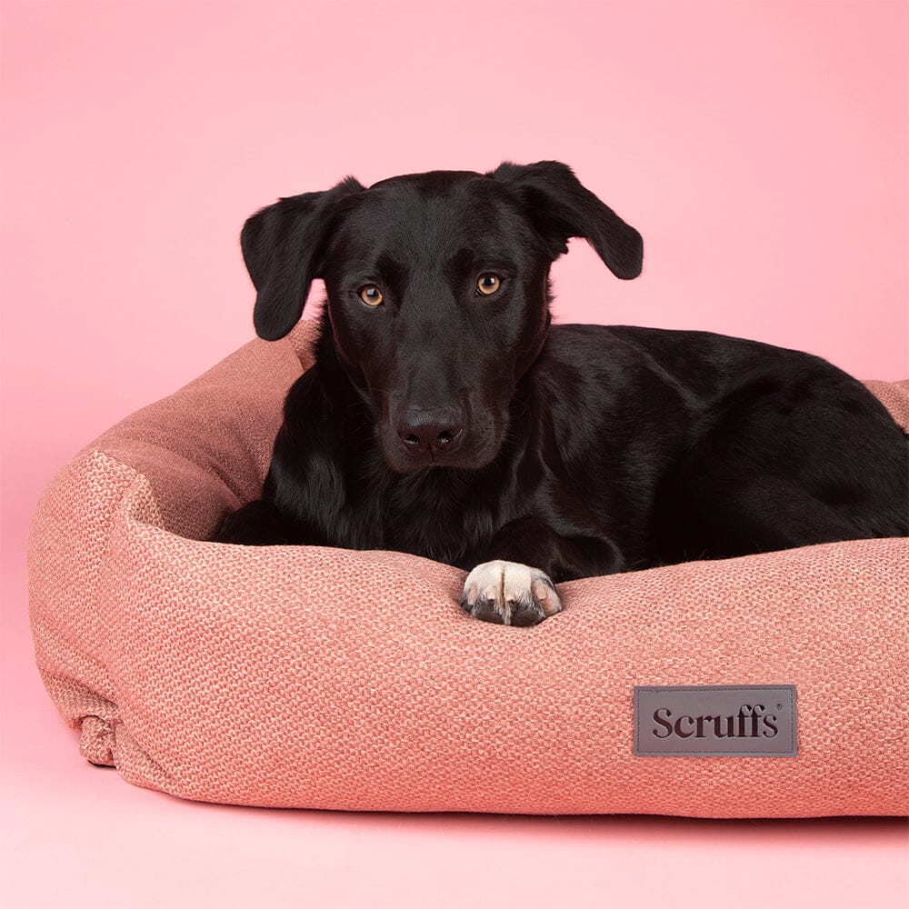 Seattle Box Bed - Coral Pink Dog Bed Scruffs® X-Large (90cm x 70cm/36" x 27.5") 