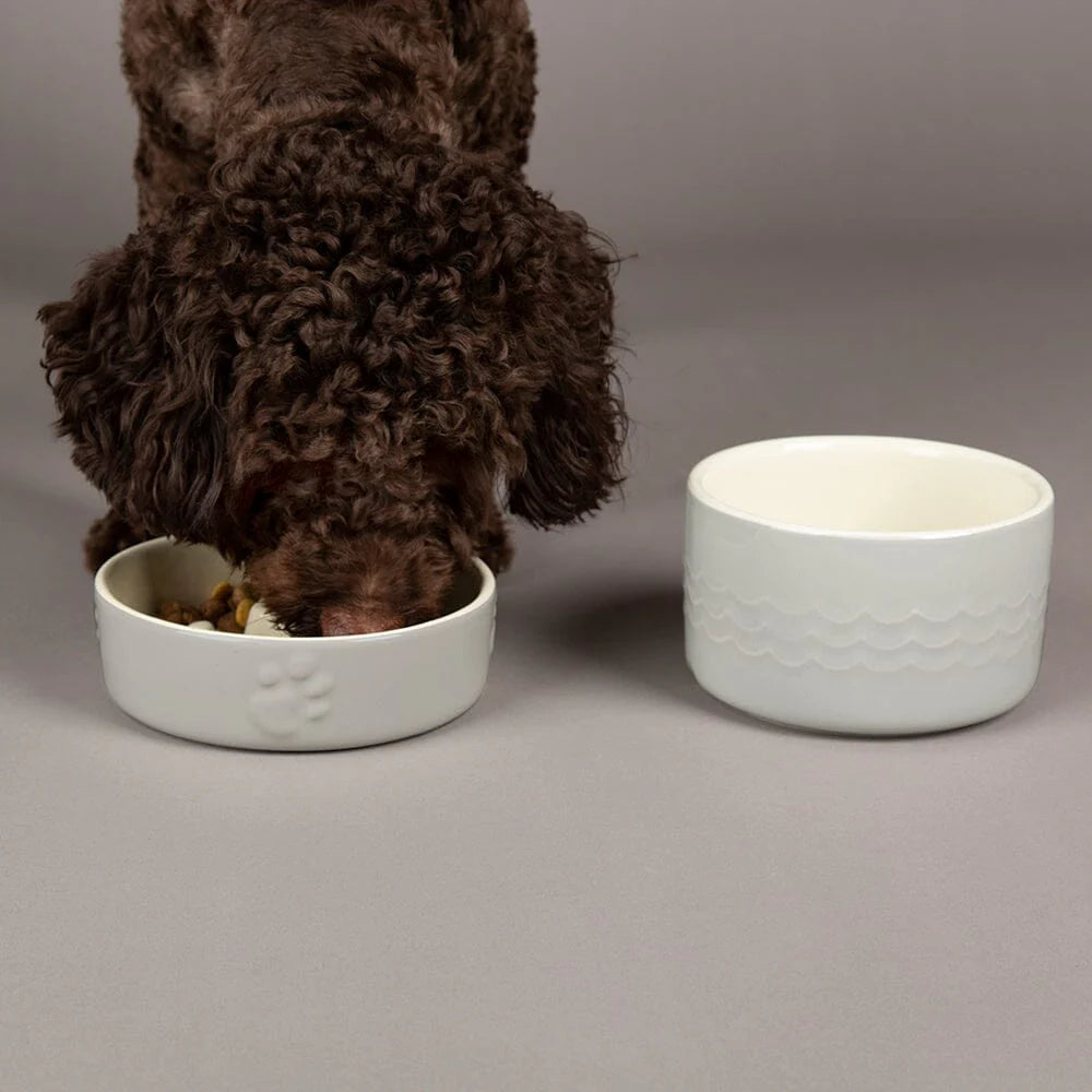 Icon 2 Piece Dog Slow Feeder & Water Bowl Set
