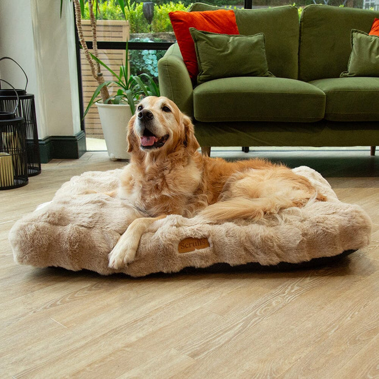 Alpine Dog Mattress