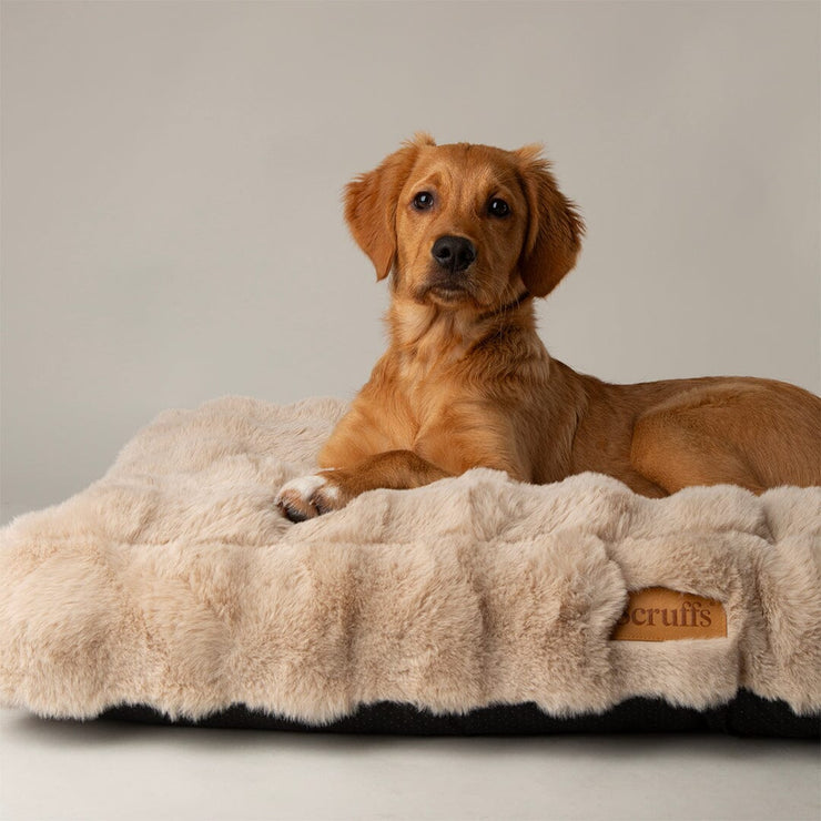 Alpine Dog Mattress