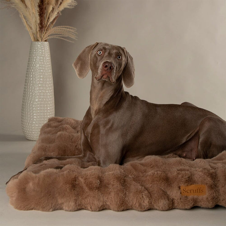 Alpine Dog Mattress
