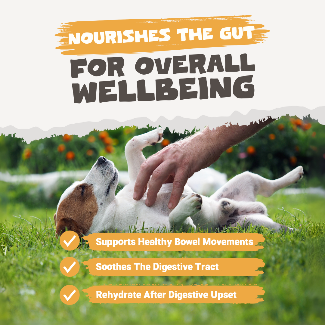 Natural Chicken Bone Broth Powder for Dogs &amp; Cats | 250g