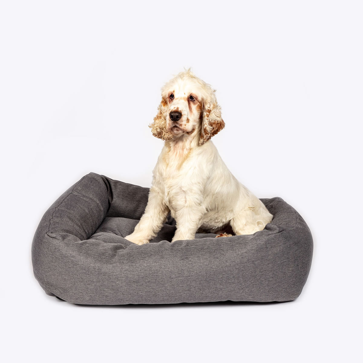 Anti-Bac Snuggle Bed