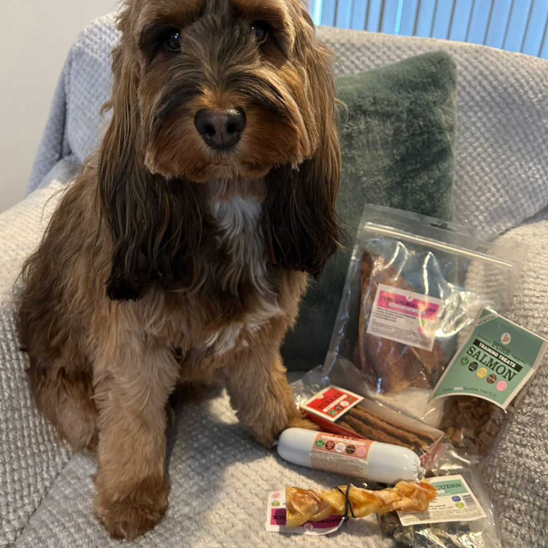 JR Pet Products Treat & Chew Bundle | Natural, Monthly Variety Box for Happy Dogs