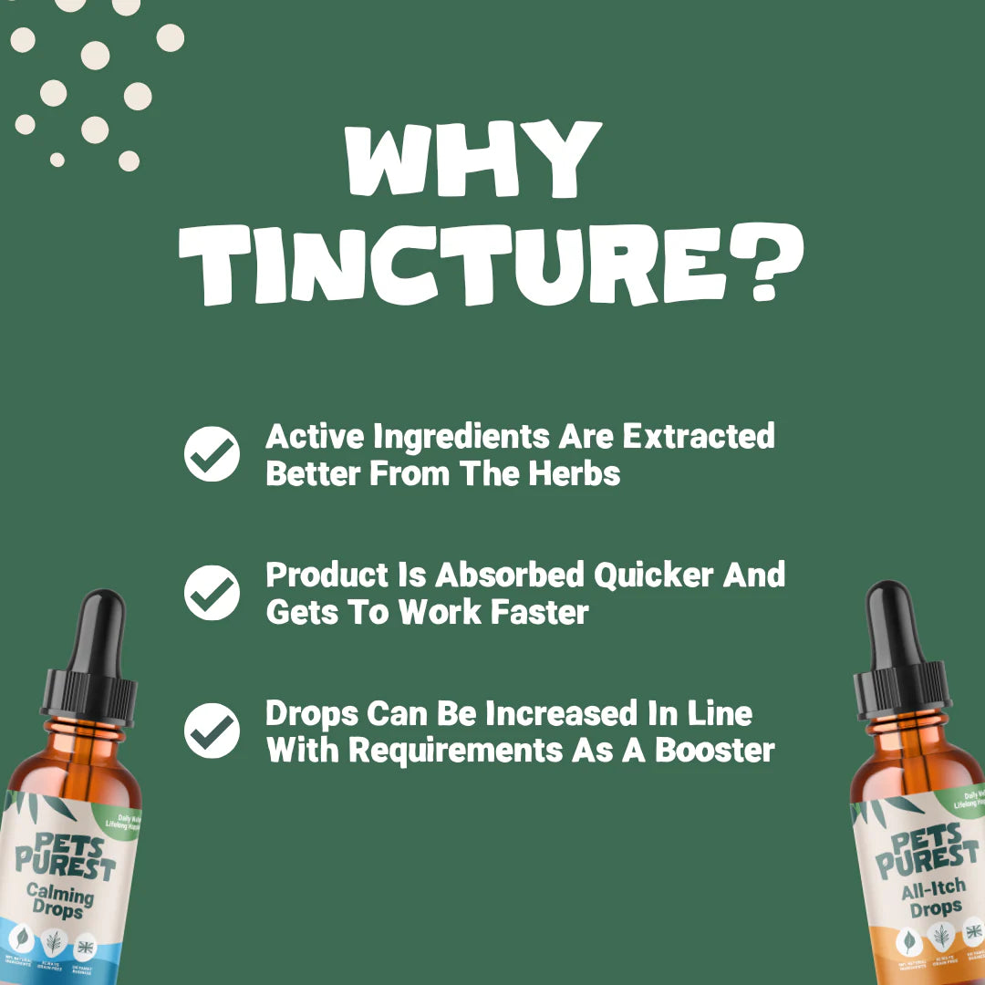 All Itch Drops for Dogs &amp; Cats | 50ml Natural Allergy &amp; Anti-Itch Supplement