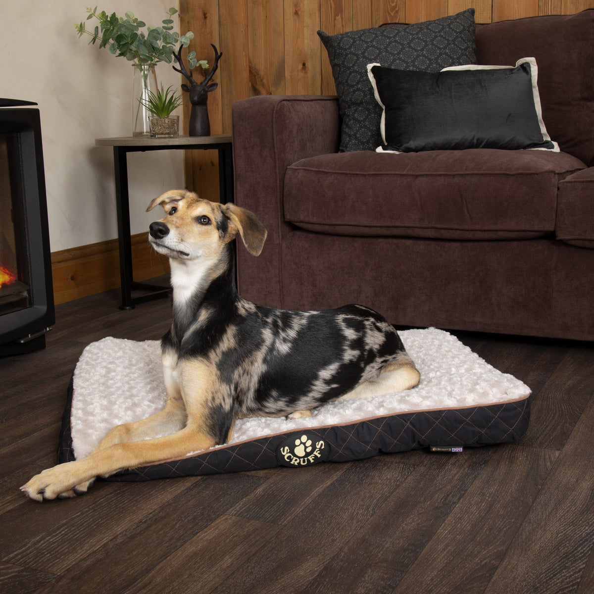Wilton Mattress - Black Dog Bed Scruffs® 
