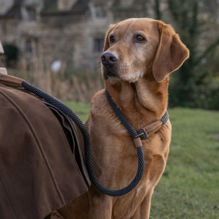 Ruff and Tumble slip lead