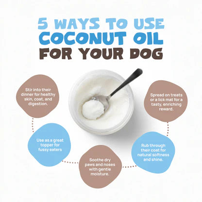 Coconut Oil for Dogs | 340g Organic Cold-Pressed Supplement