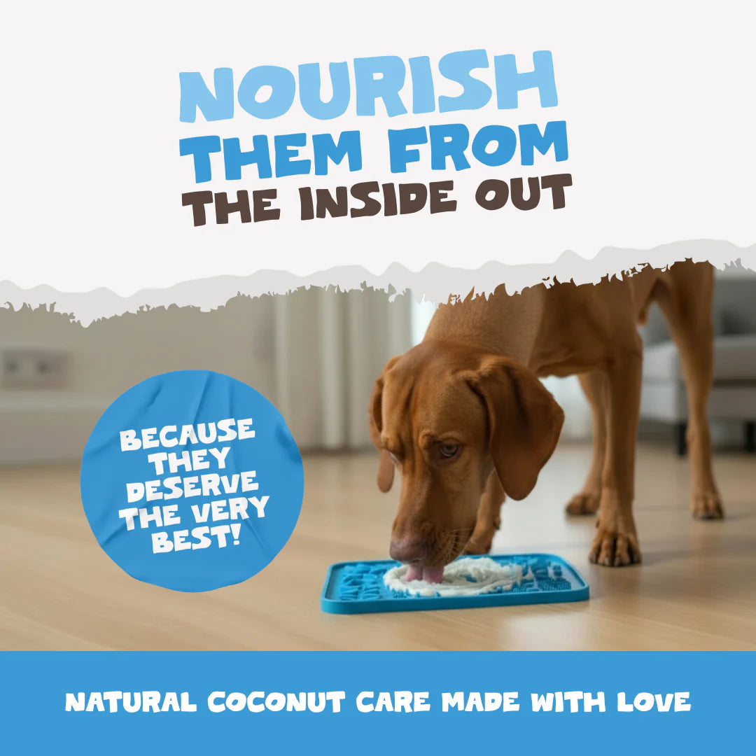 Coconut Oil for Dogs | 340g Organic Cold-Pressed Supplement